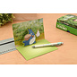 Chronicles Books Carte-Postale - Studio Ghibli Mon Voisin Totoro - Ensemble de 10 Cartes et Enveloppes