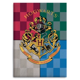 Aymax Blanket - Harry Potter - Hogwarts Crest, 4 Colors Plush Throw