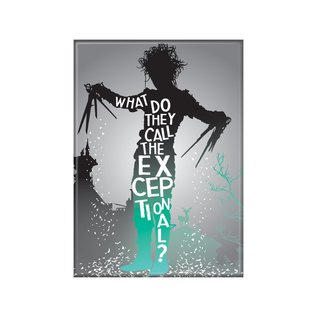 Ata-Boy Magnet - Edward Scissorhands - "What do they Call the Exceptional ?"