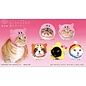 Kitan Club Blind Box - Kitan Club - Cap for Cat Style Kirby