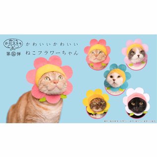 Kitan Club Boîte mystère - Kitan Club - Chapeau pour Chat Style Fleur