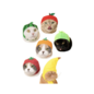 Kitan Club Blind Box - Kitan Club - Fruit Cat Hat