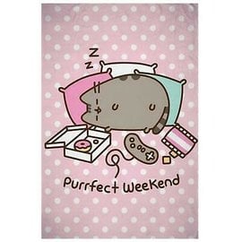 Aymax Blanket - Pusheen - "Purrfect Weekend" Plush throw blanket