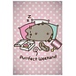 Aymax Blanket - Pusheen - "Purrfect Weekend" Plush throw blanket
