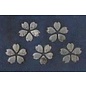 INASAKA MERIYASU Socks - Tabi - Daruma Pattern Blue With Sakura Non-Slip Pad 1 Pair 22-25cm