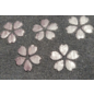 INASAKA MERIYASU Socks - Tabi - Daruma Black Pattern With Sakura Non-Slip Pad 1 Pair 22-25cm