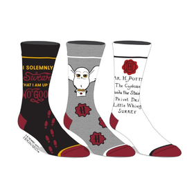 Bioworld Socks - Harry Potter - Hedwig, Marauders Card and Harry's Letter Pack of 3 Pairs Crew