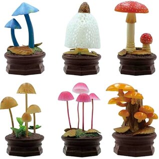 Kitan Club Boîte mystère - Kitan Club - Figurine Champignon Kinoko Garden Version 1