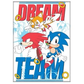 Ata-Boy Magnet - Sonic the Hedgehog - Sonic "Dream Team"