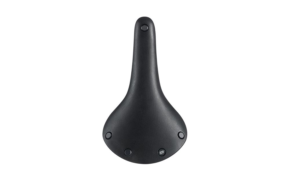 brooks cambium c17 all weather