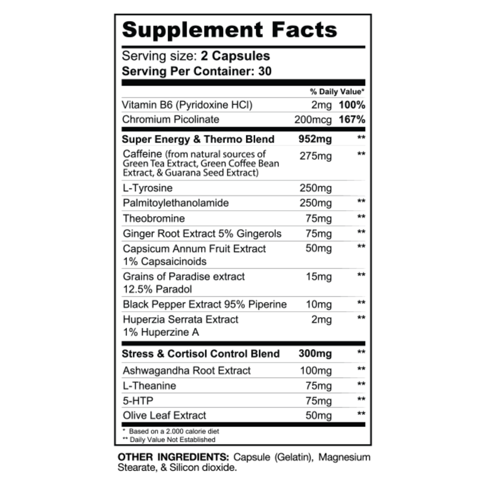 Gaspari DTN8