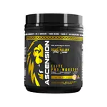 Core Nutritionals Ascension Lion on the Beach