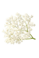 White Balsamic Elderflower
