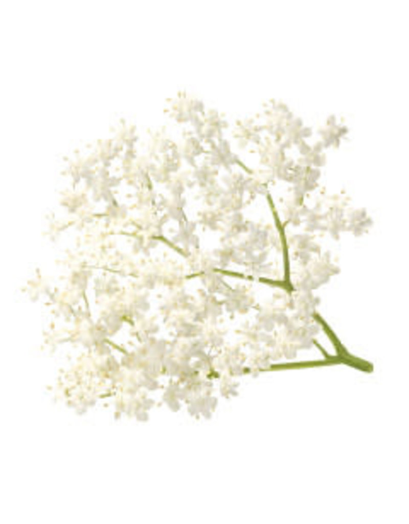 White Balsamic Elderflower