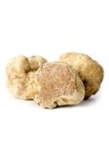 Gourmet Olive Oil  White Truffle