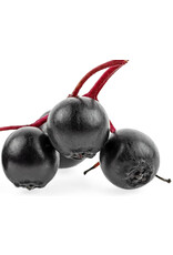 Dark Balsamic Elderberry
