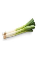 Fused Greek Leek Olive Oil