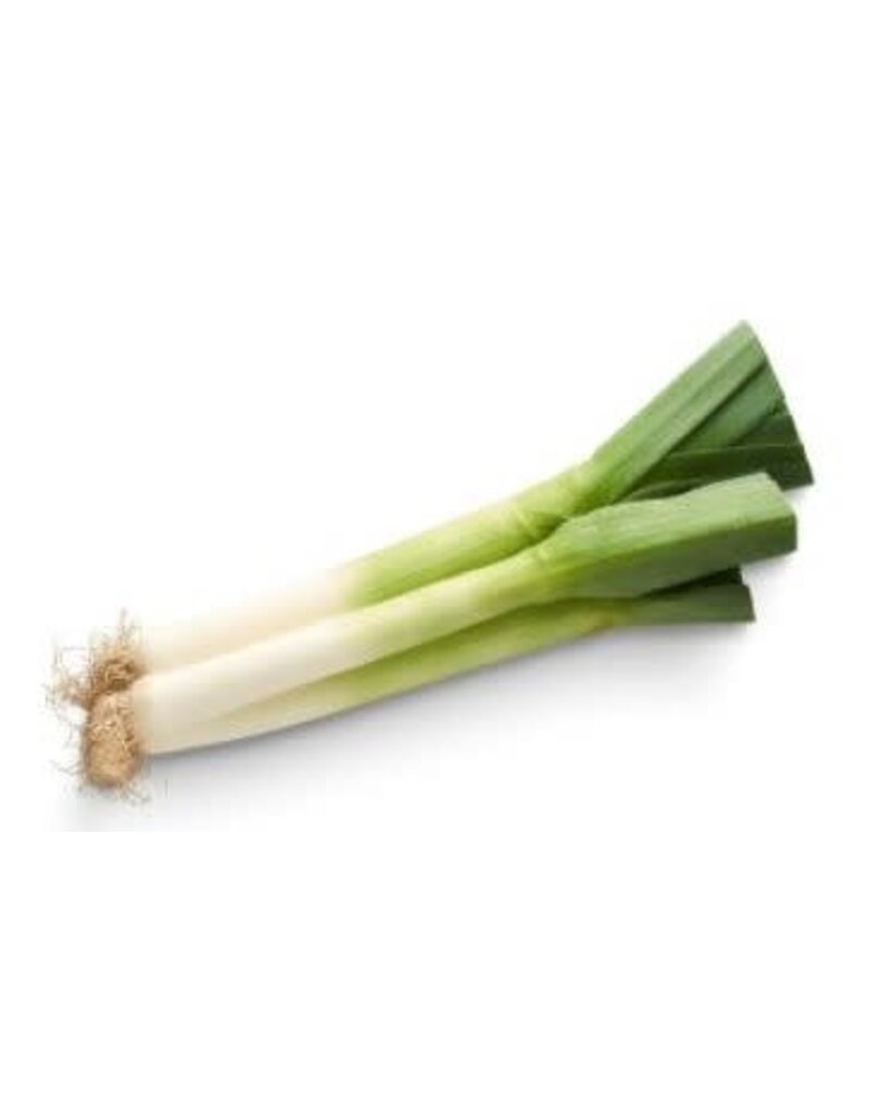 Fused Greek Leek Olive Oil