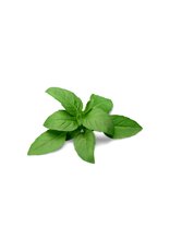 Infused Olive Oil Basil