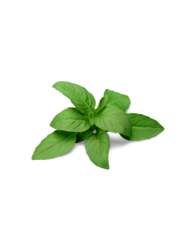 Infused Olive Oil Basil