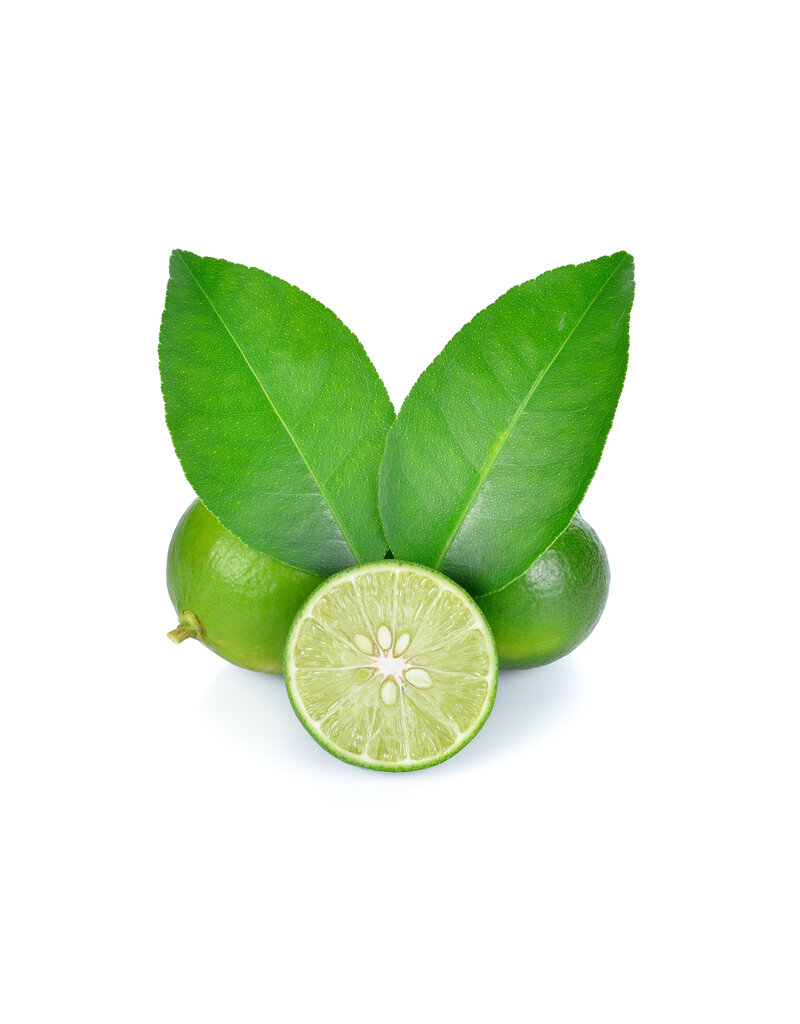 White Balsamic Key Lime