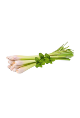 White Balsamic Lemongrass Mint