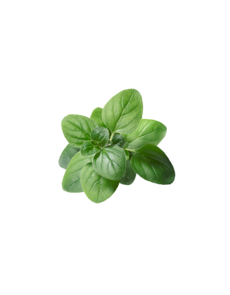 White Balsamic Oregano