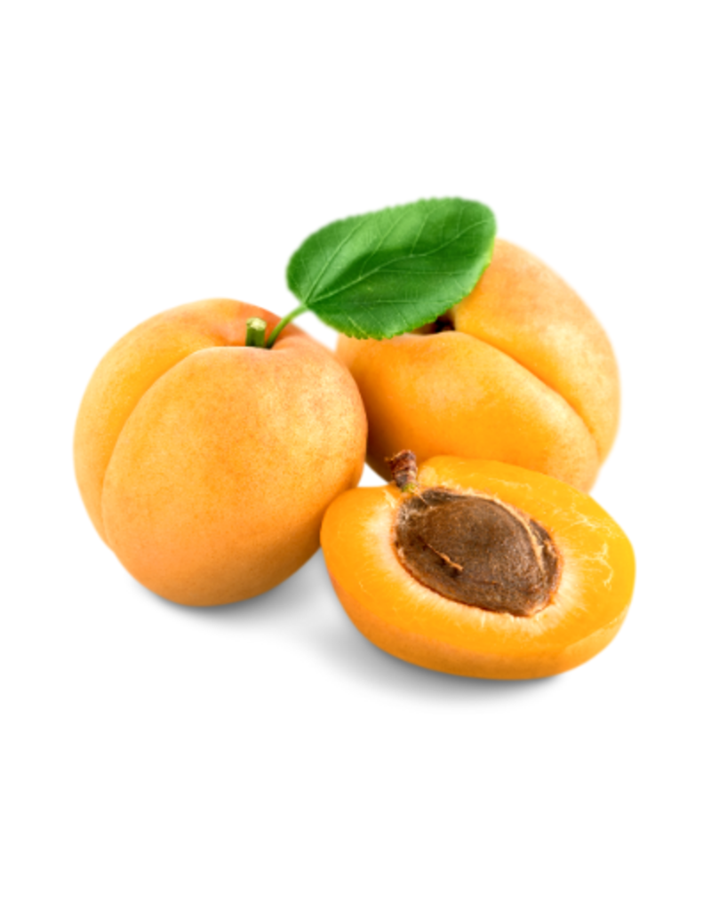 White Balsamic Blenheim Apricot