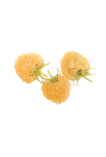 White Balsamic Cascadian Wild Raspberry