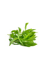 White Balsamic Tarragon