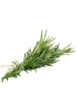 Fused Wild Rosemary Olive Oil