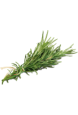 Wild Rosemary Fused Olive Oil