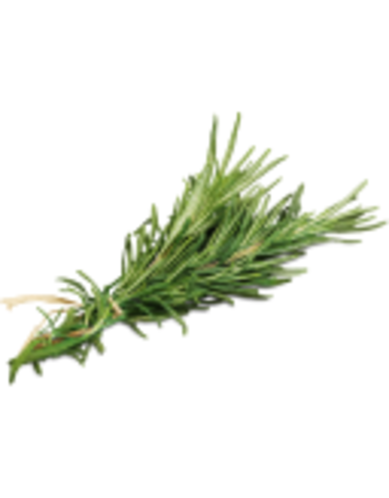 Fused Wild Rosemary Olive Oil
