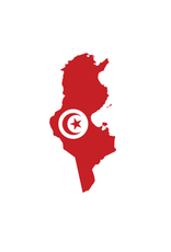 Northern Hemisphere Ultra High Phenol Chetoui Tunisia