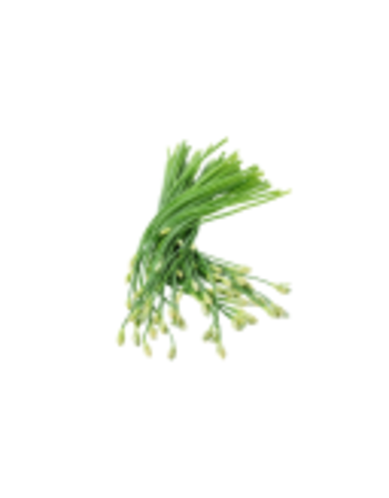 Garlic Chive White Balsamic