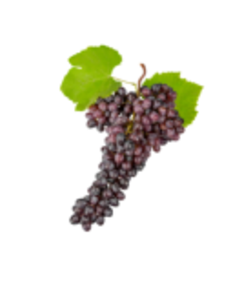 Dark Balsamic Aceto Balsamico di Modena