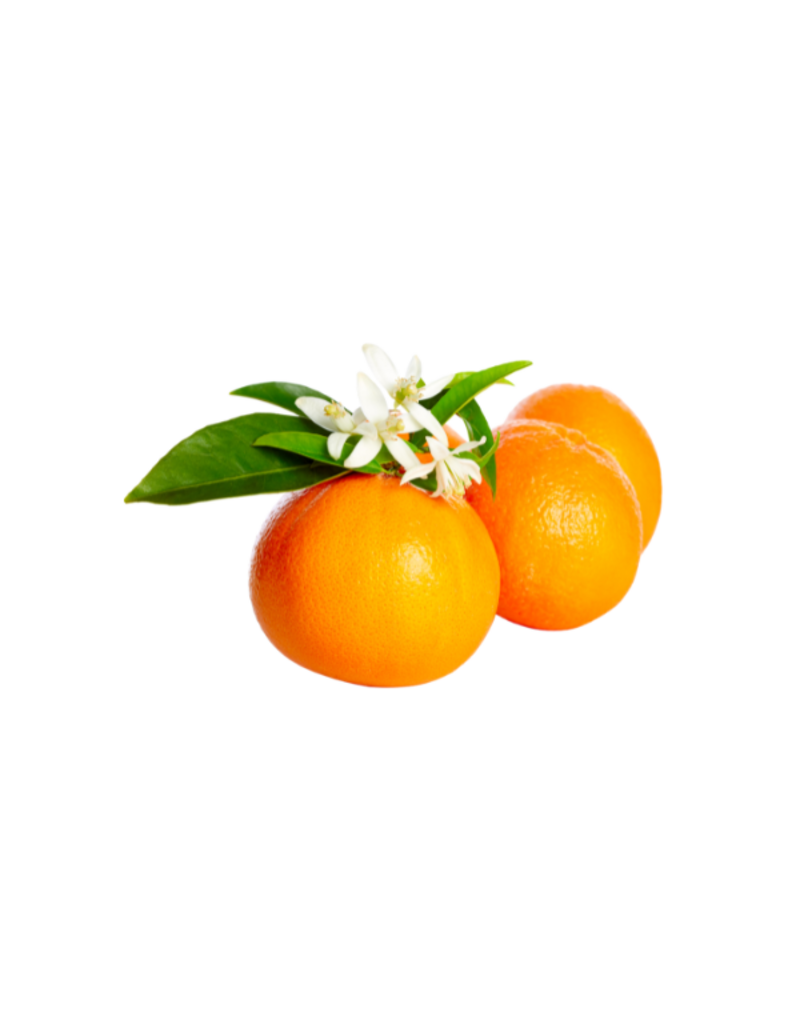 Infused Sweet Valencia Orange Olive Oil