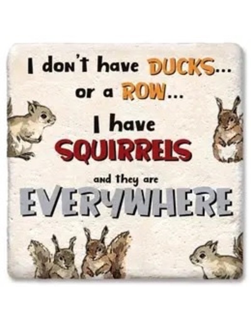 Tipsy Coasters & Gifts I Don't Have Ducks Coaster