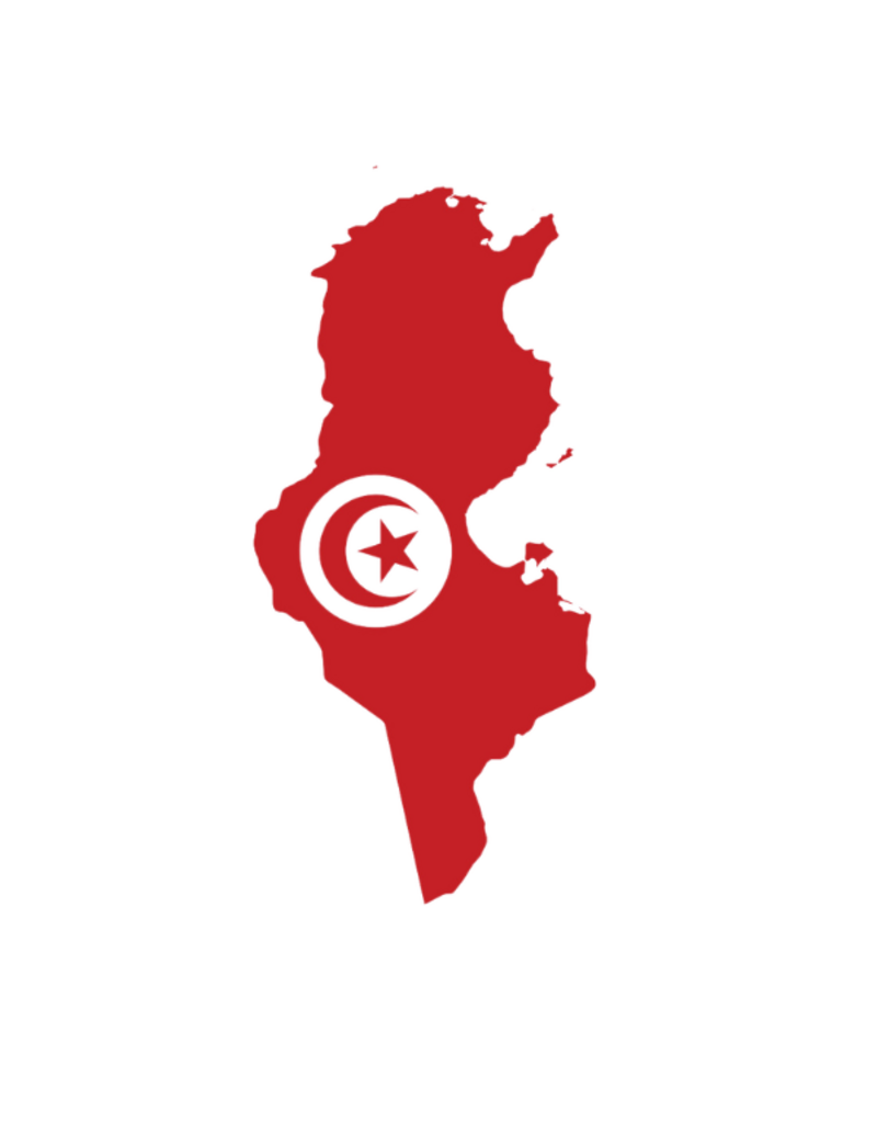 Northern Olive Oil Organic Chetoui Tunisia