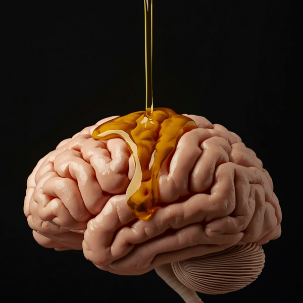 What New Research Says About Olive Oil and Brain Health