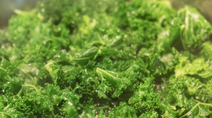 Why Olive Oil Helps Vegetables Absorb More Nutrients