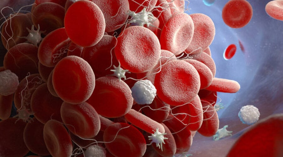Olive Oil and Platelet Activity: What the Research Found