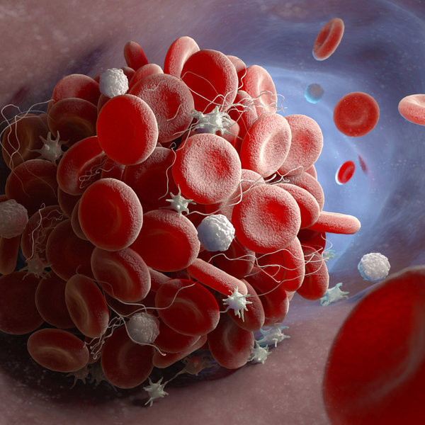 Olive Oil and Platelet Activity: What the Research Found