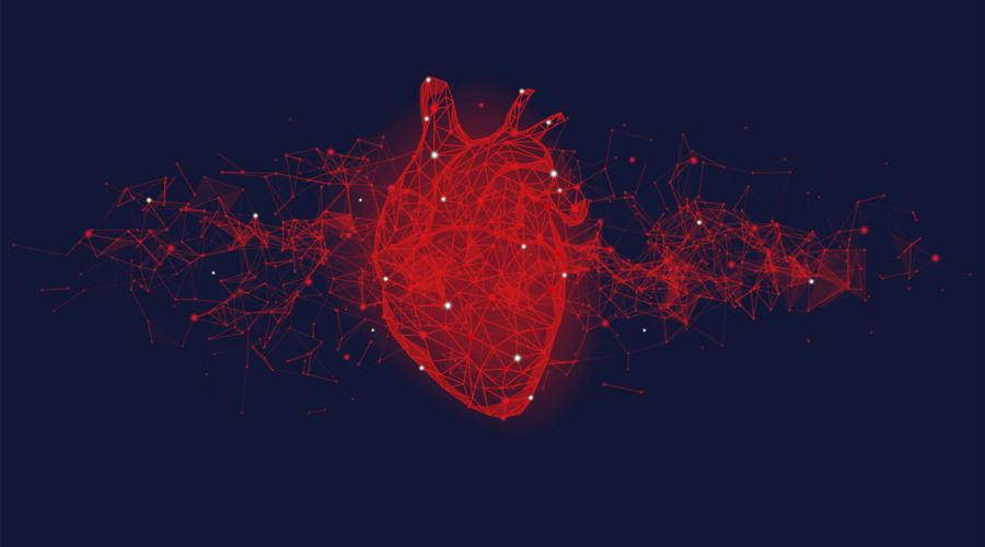 Olive Oil's Role in Interventional Cardiology