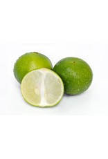 Infused Olive Oil Persian Lime