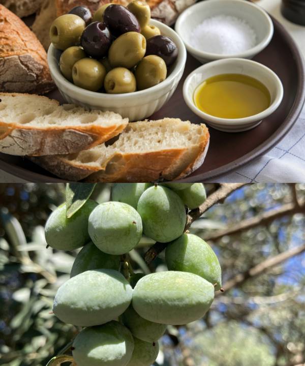 Warm Winter Meals Start