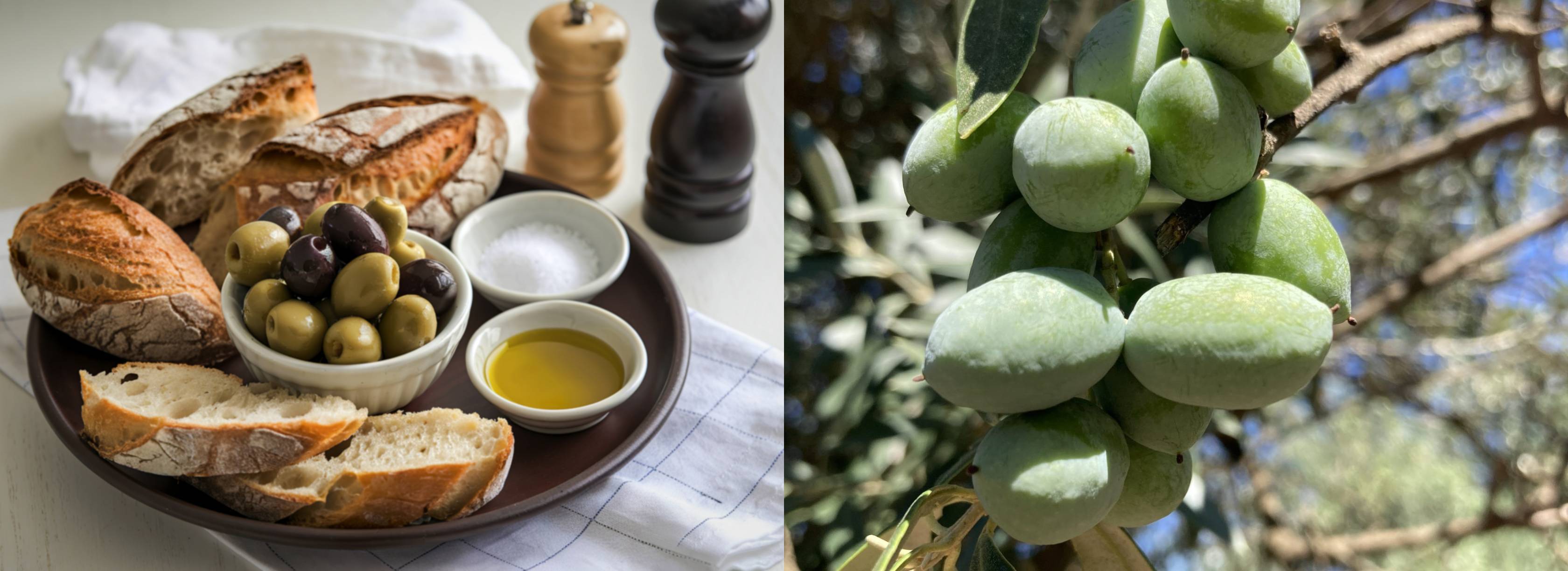 DISCOVER ULTRA PREMIUM OLIVE OILS & BALSAMIC VINEGARS FOR EVERY KITCHEN.