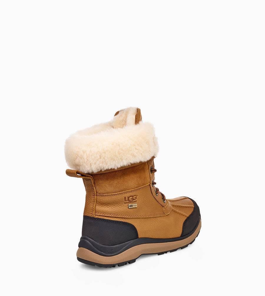 Ugg Ugg Women's Adorondack Boot III 1095141