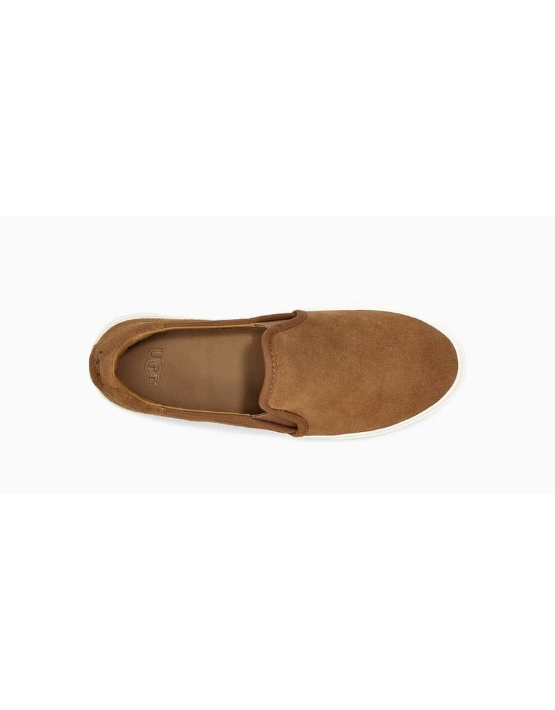 ugg jass mole