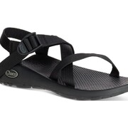 ☆☆chaco☆☆ ZX/2 Sandals | Chacos
